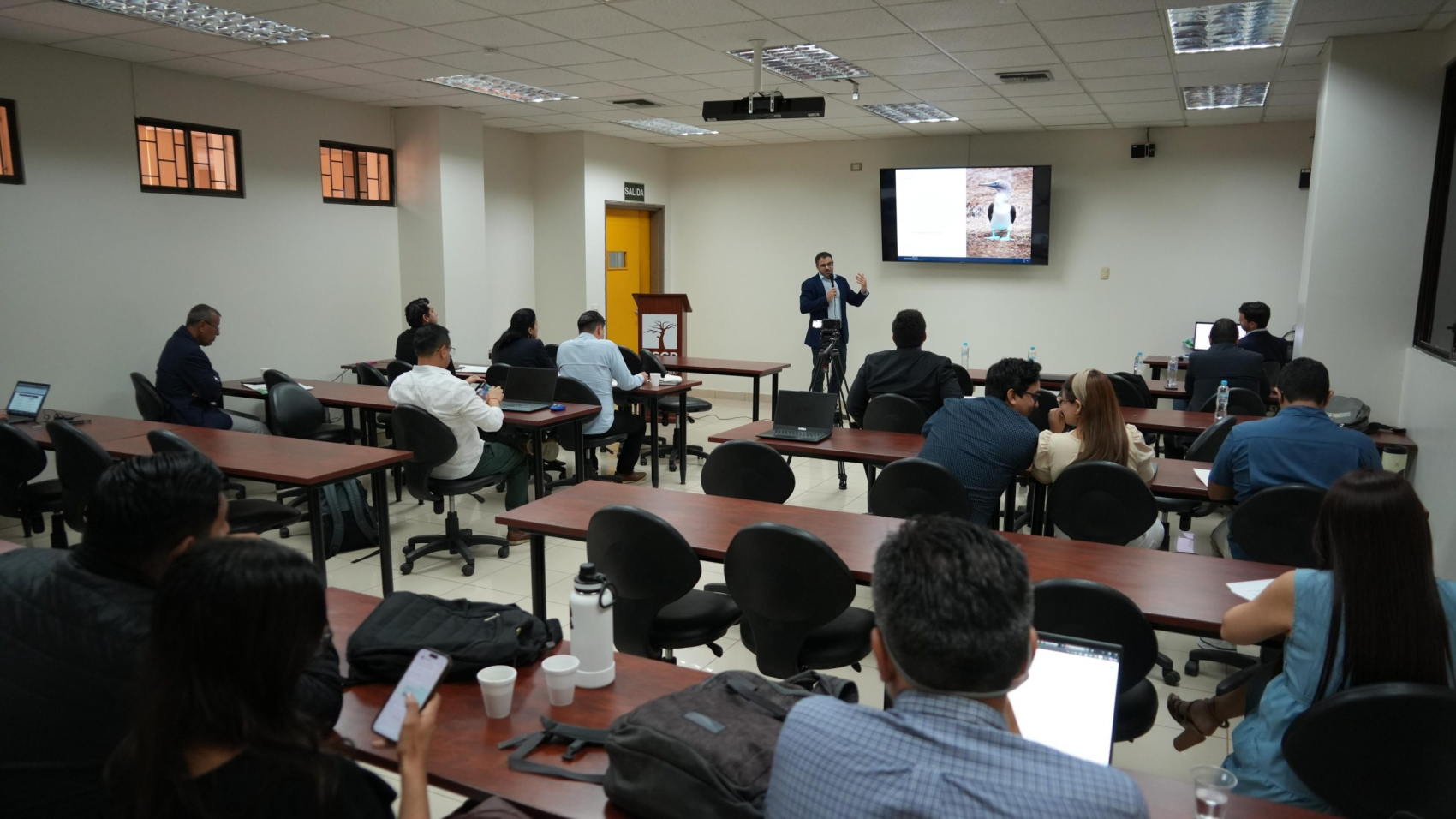 WhatsApp Image 2025-12-12 at 16.34.39